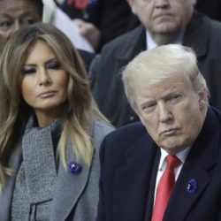Body language expert Dr Beth Dawson reveals what she really thinks about Melania Trump’s ‘body double’ theory’